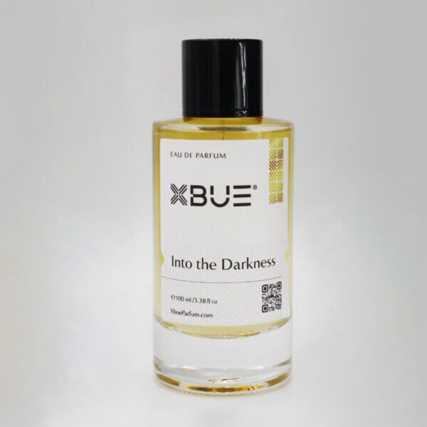 IN TO THE DARKNESS